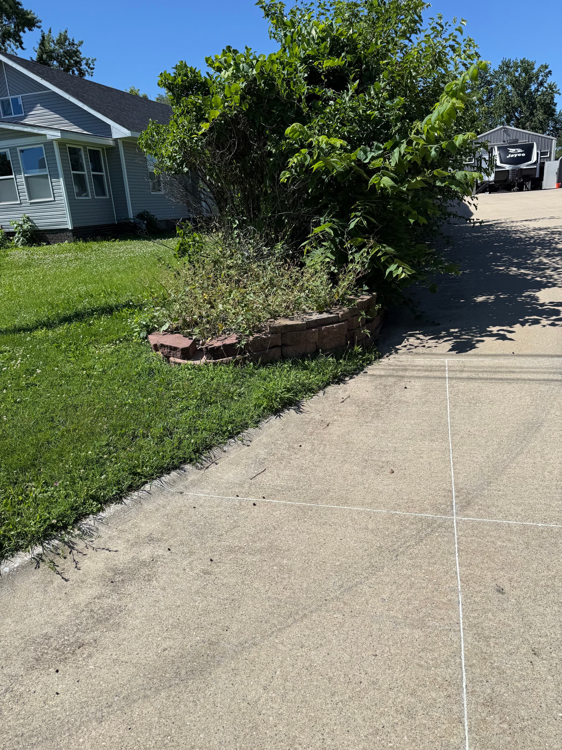 Gallery photos for Overgrown Flower Bed Cleared and Prepped for Grass: Image #2