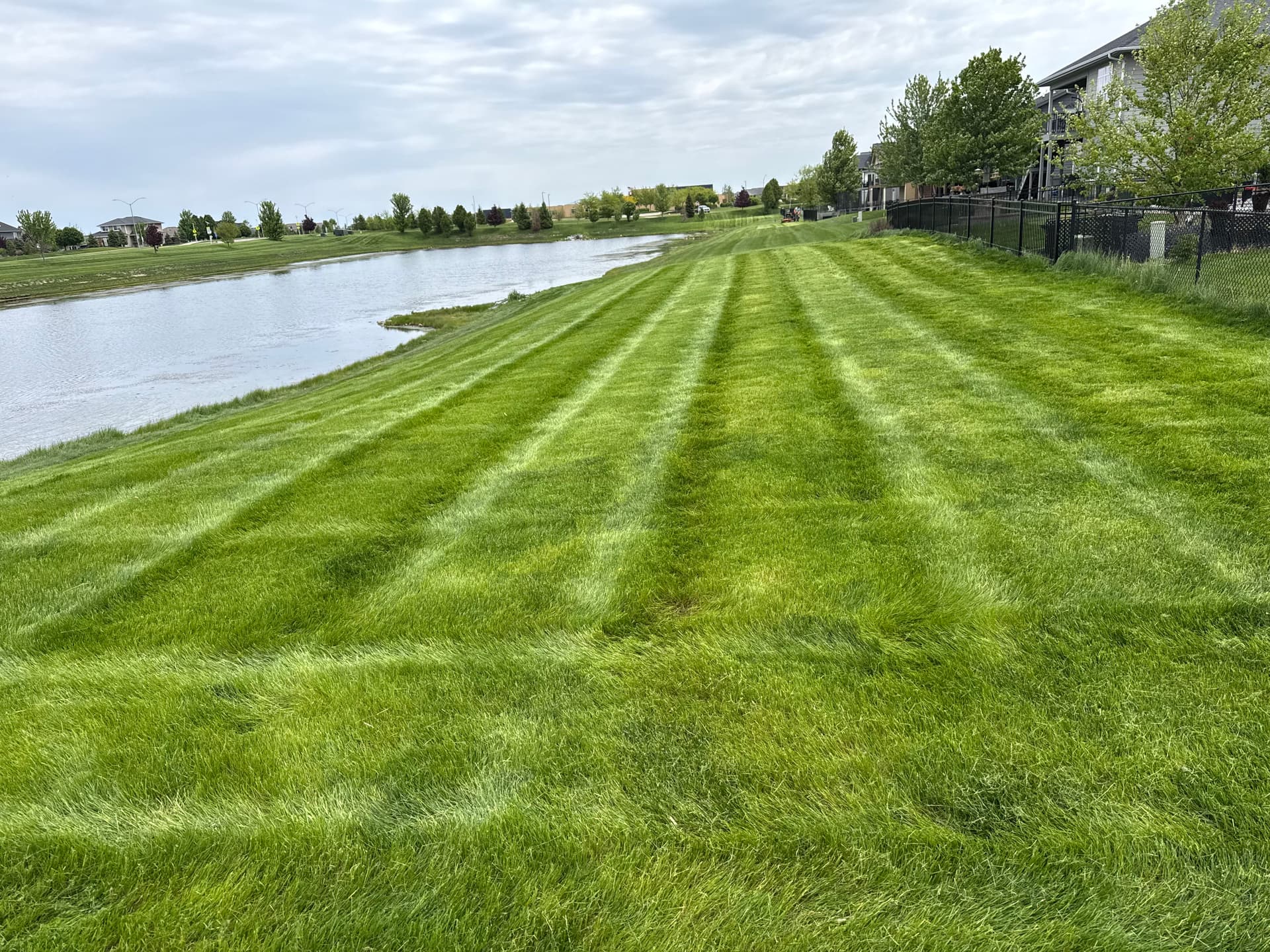 Gallery photos for HOA Pond Area Mowing Cleaned Up in Waukee: Image #3