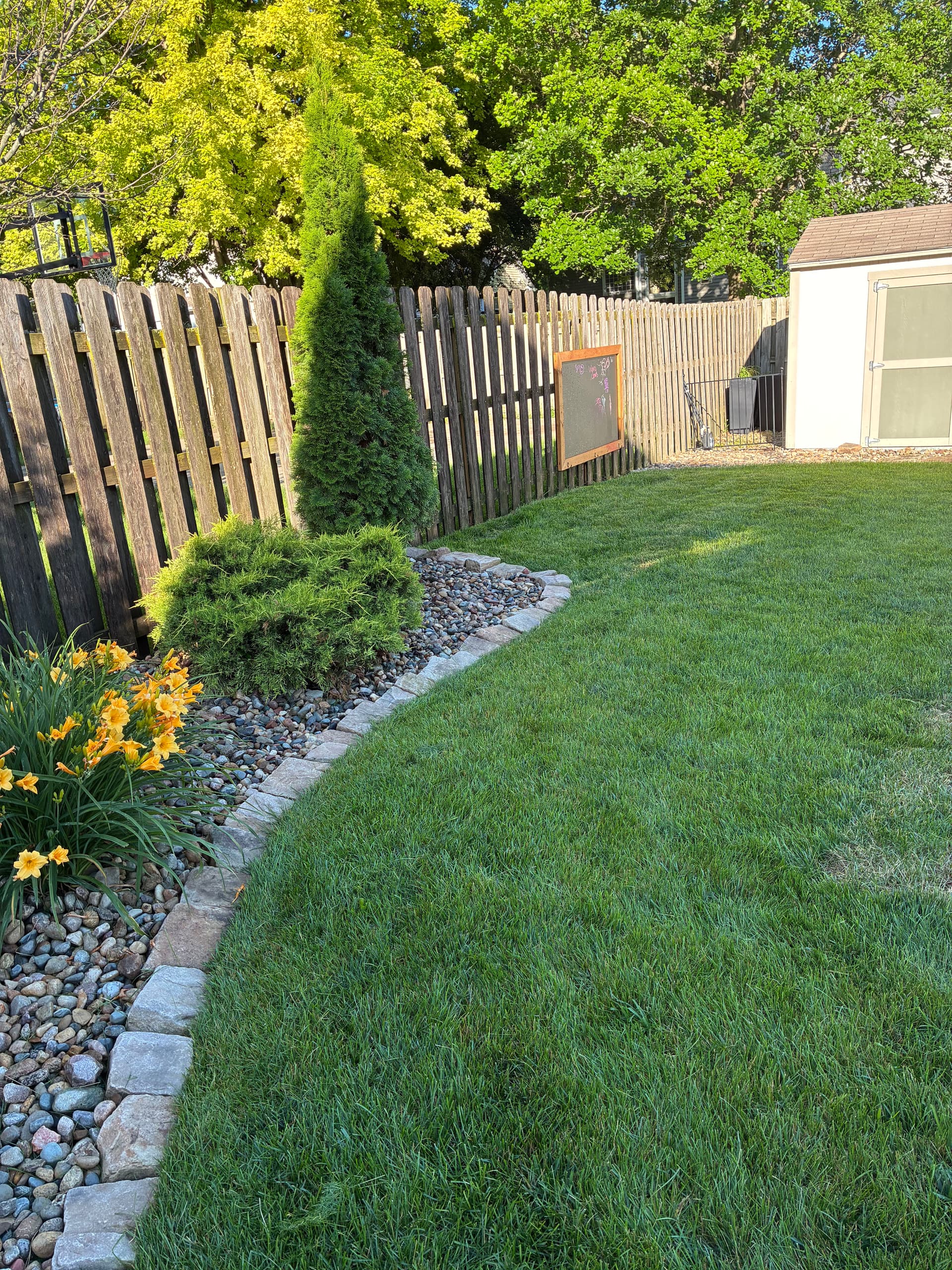 Gallery photos for Lawn and Landscaping Work Settling In Nicely in Johnston: Image #3