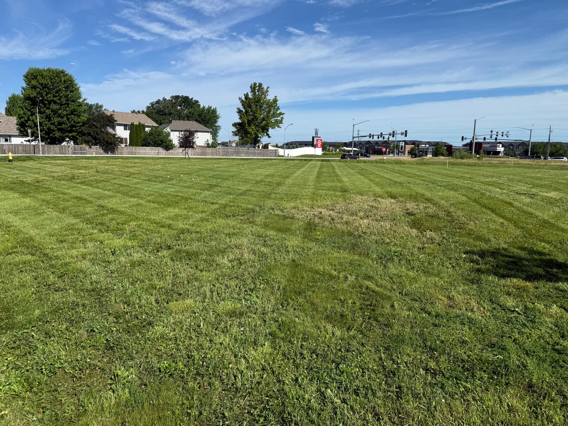 Gallery photos for Thick Overgrown Grass Cleared and Cut Down to Size: Image #3