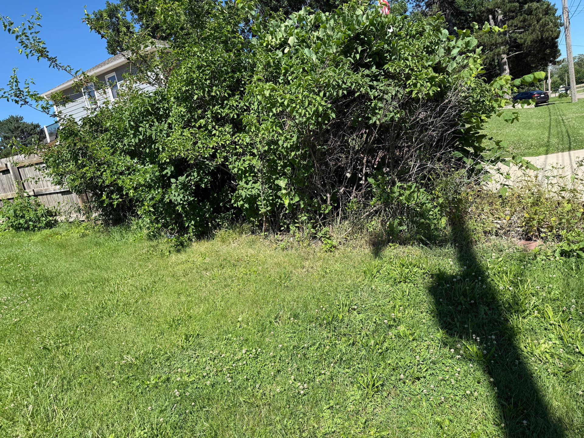 Gallery photos for Overgrown Flower Bed Cleared and Prepped for Grass: Image #1