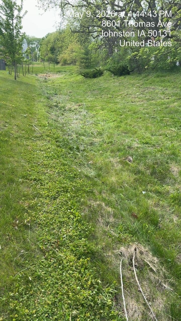 Gallery photos for Neglected Retention Pond Cleanup at a Johnston Daycare Property: Image #5