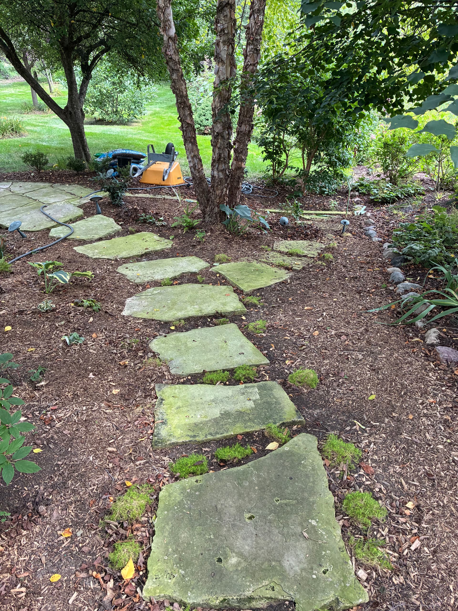 Fresh Mulch and a Full Landscape Cleanup That Actually Shows image