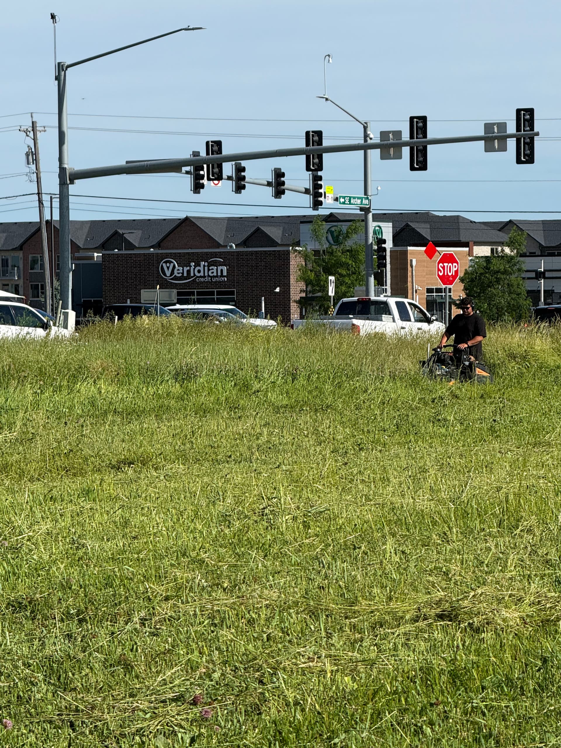 Gallery photos for Thick Overgrown Grass Cleared and Cut Down to Size: Image #1