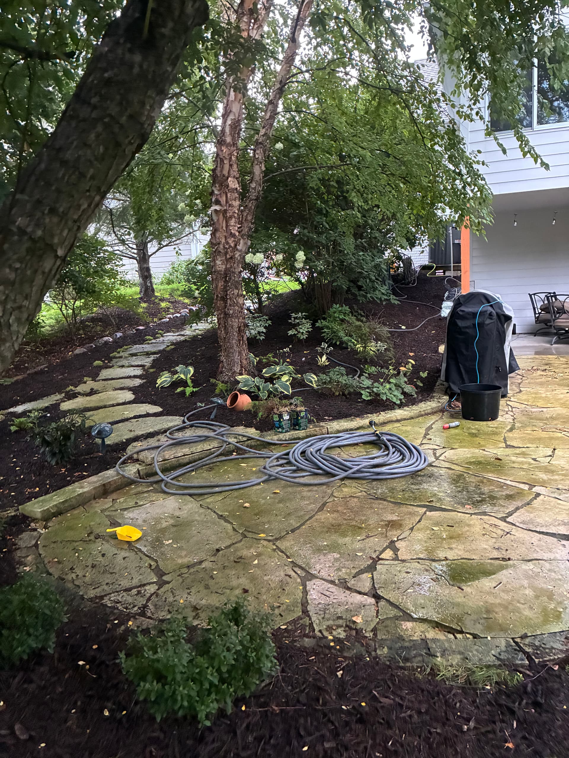 Gallery photos for Fresh Mulch and a Full Landscape Cleanup That Actually Shows: Image #4
