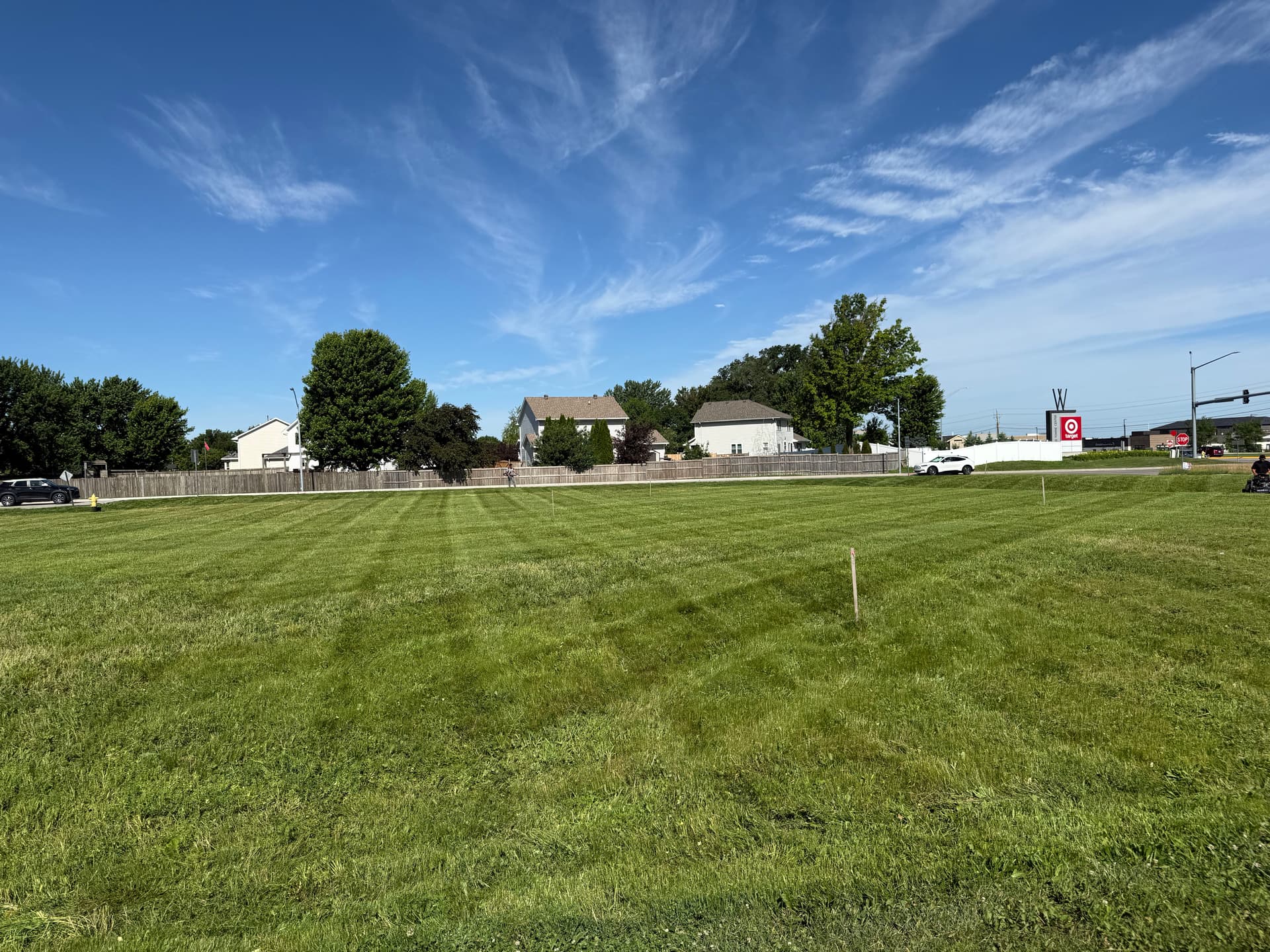 Gallery photos for Thick Overgrown Grass Cleared and Cut Down to Size: Image #2