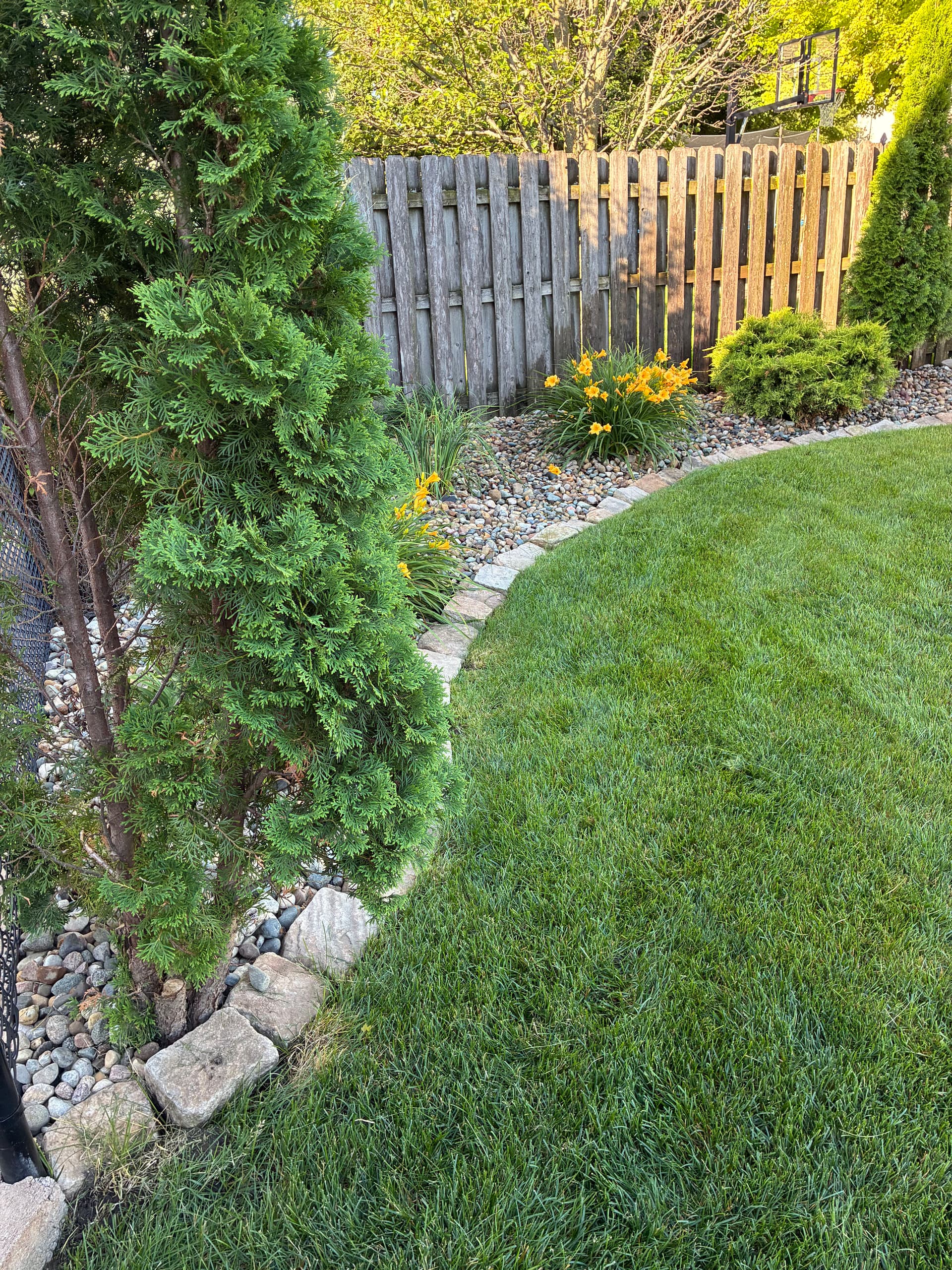 Gallery photos for Lawn and Landscaping Work Settling In Nicely in Johnston: Image #2