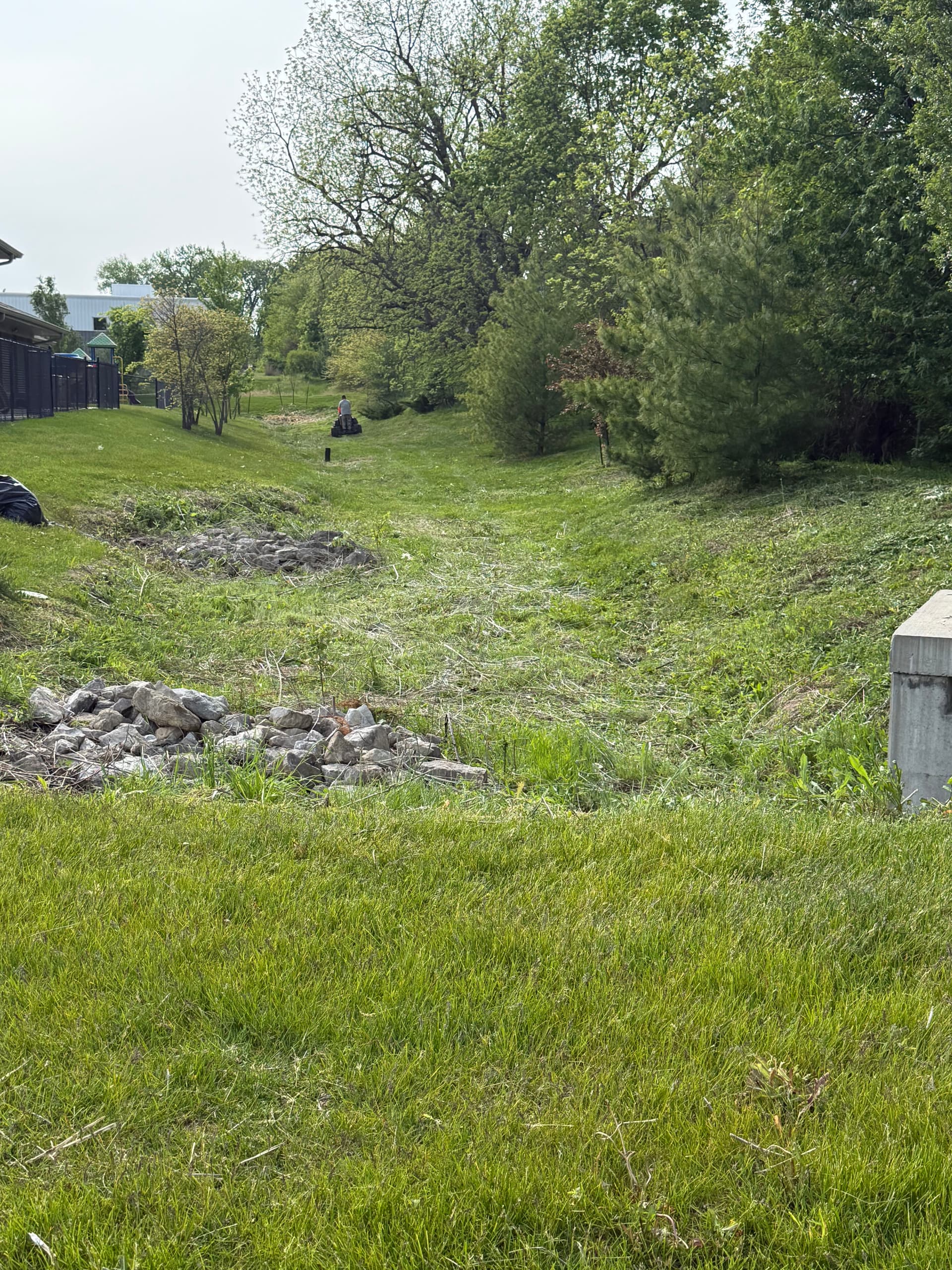 Gallery photos for Neglected Retention Pond Cleanup at a Johnston Daycare Property: Image #1
