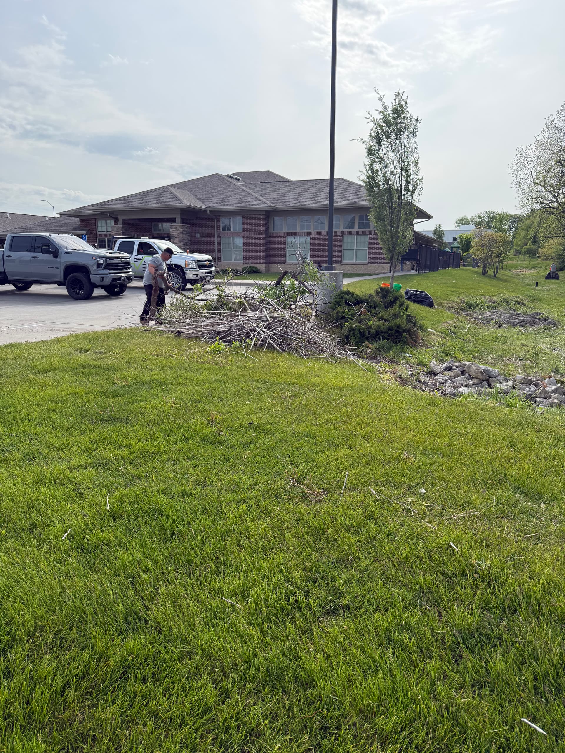 Neglected Retention Pond Cleanup at a Johnston Daycare Property image