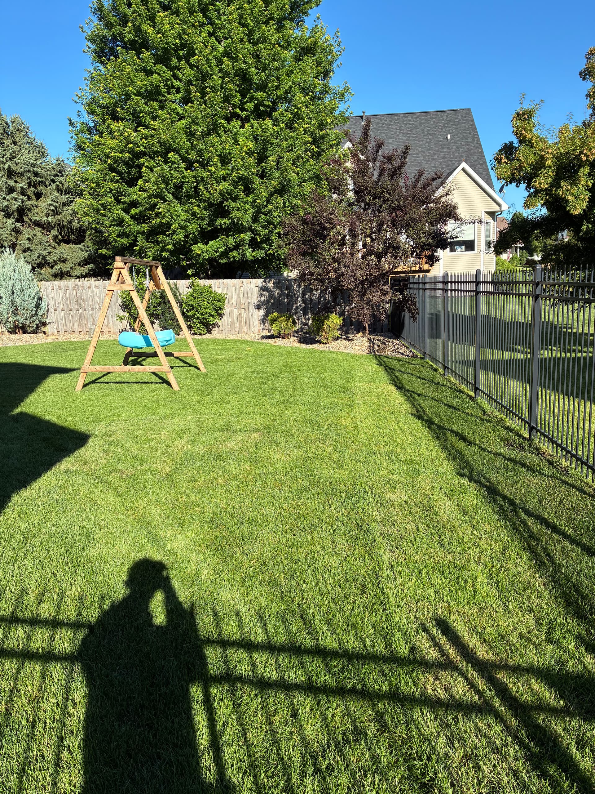 Gallery photos for Lawn and Landscaping Work Settling In Nicely in Johnston: Image #4