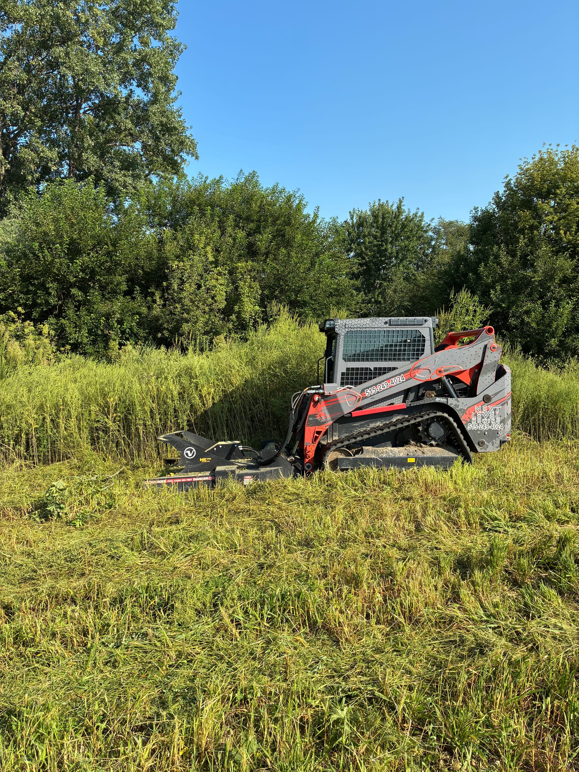 Land Clearing in Grimes Tackling Overgrown Tall Grass image