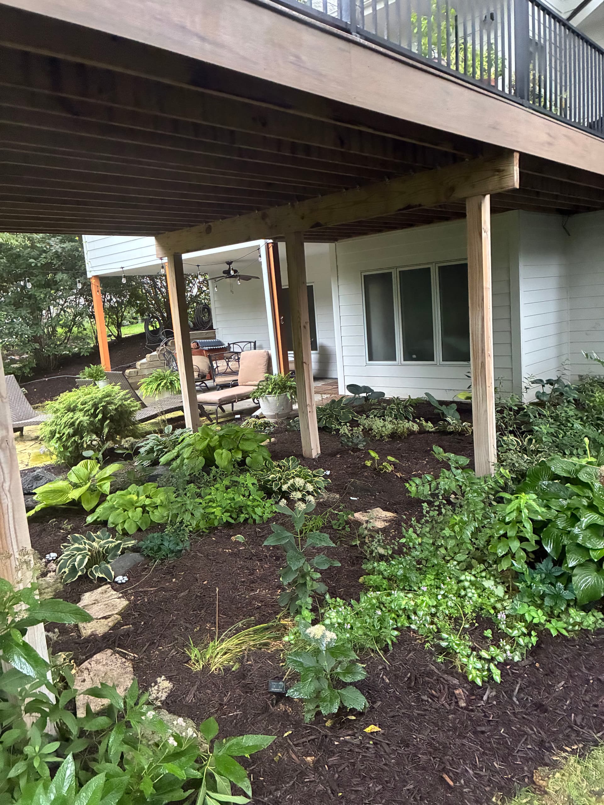 Gallery photos for Fresh Mulch and a Full Landscape Cleanup That Actually Shows: Image #6