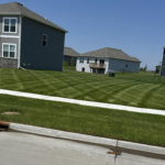 Why Fall Aeration & Overseeding Is the Secret to a Greener Lawn Next Spring
